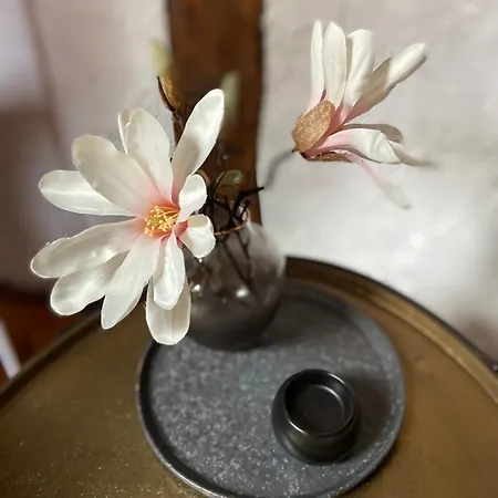 Cochemer Kaffeeroesterei *